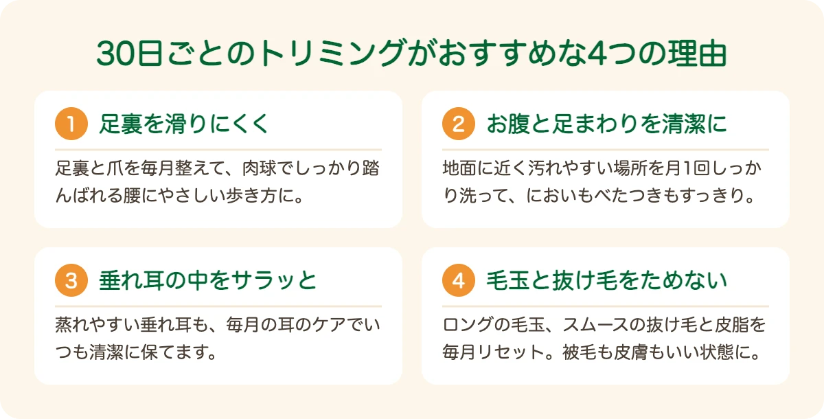 ミニチュア・ダックスフンドのトリミングを30日ごとにおすすめする4つの理由