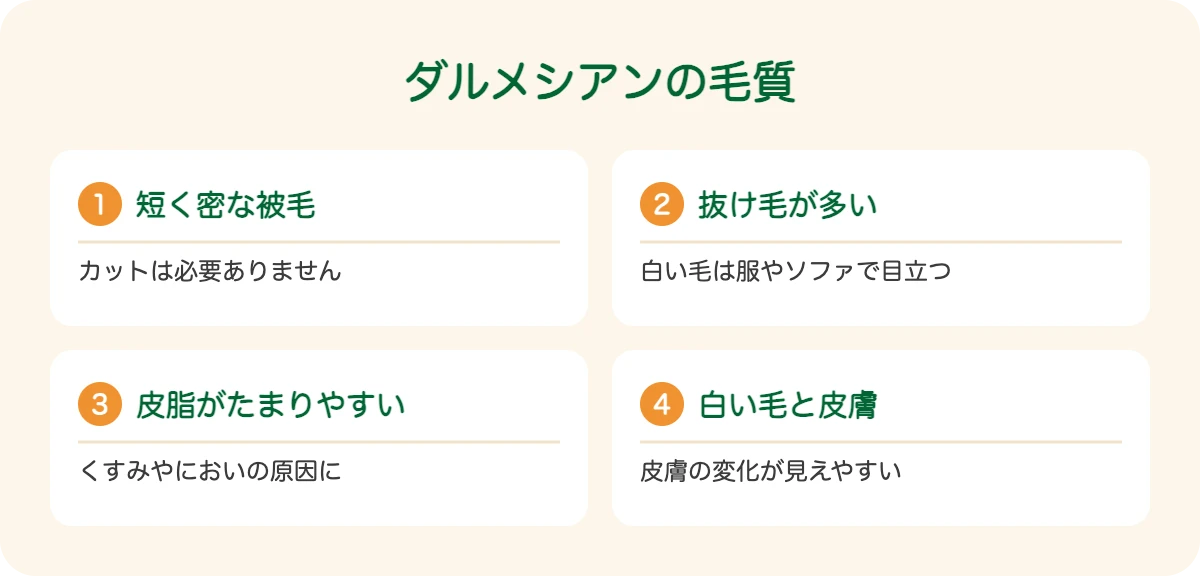 ダルメシアンの毛質