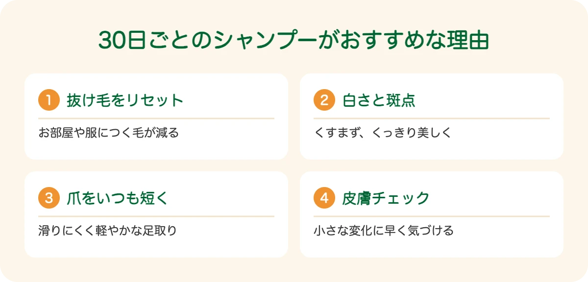 ダルメシアンの30日ごとのシャンプーがおすすめな理由
