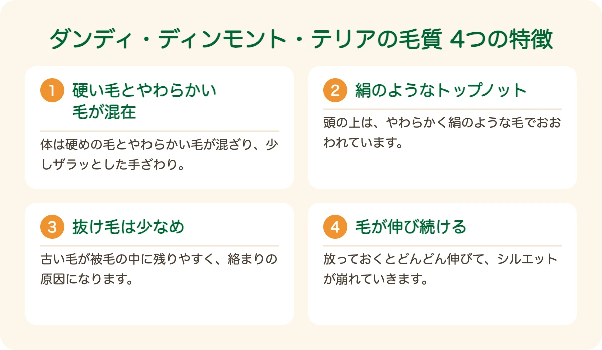 ダンディ・ディンモント・テリアの毛質の4つの特徴