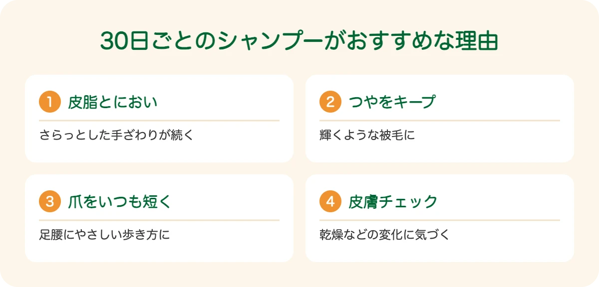 ドーベルマンの30日ごとのシャンプーがおすすめな理由