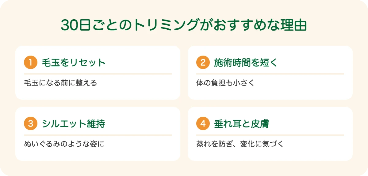 ドゥードゥルの30日ごとのトリミングがおすすめな理由