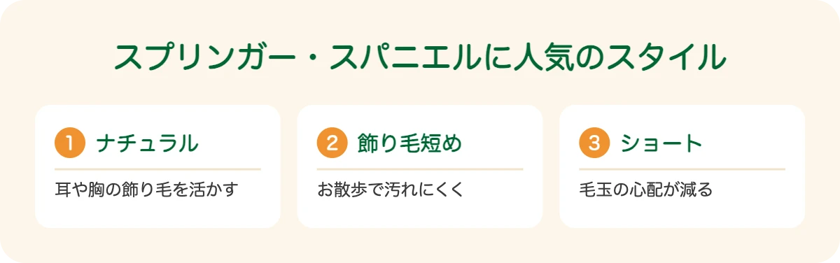 スプリンガー・スパニエルに人気のスタイル