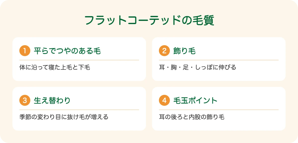 フラットコーテッドの毛質