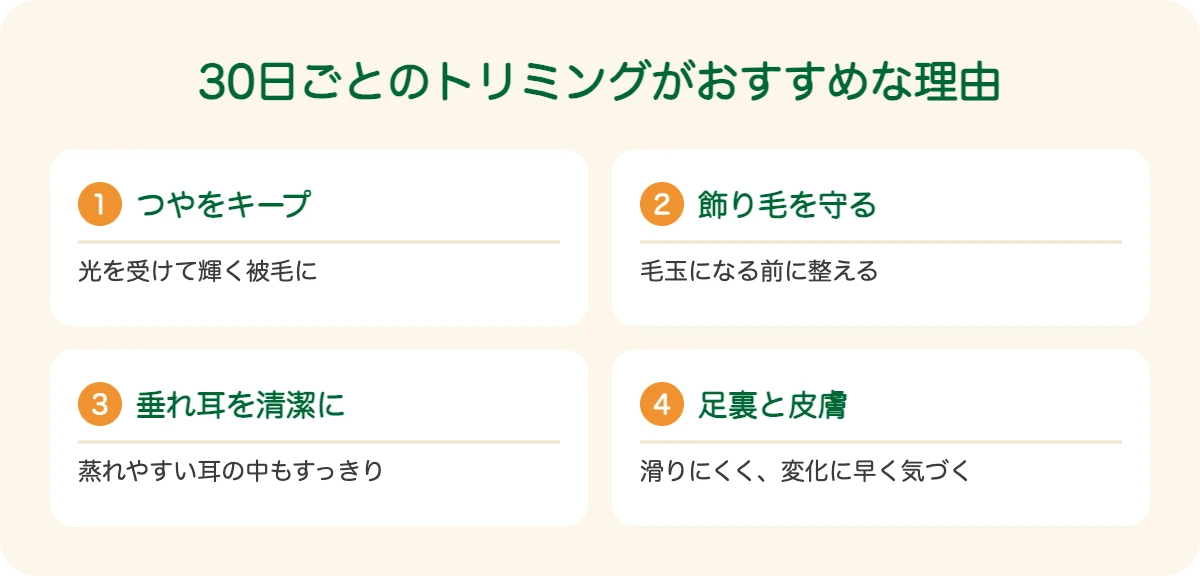 フラットコーテッド・レトリーバーの30日ごとのトリミングがおすすめな理由
