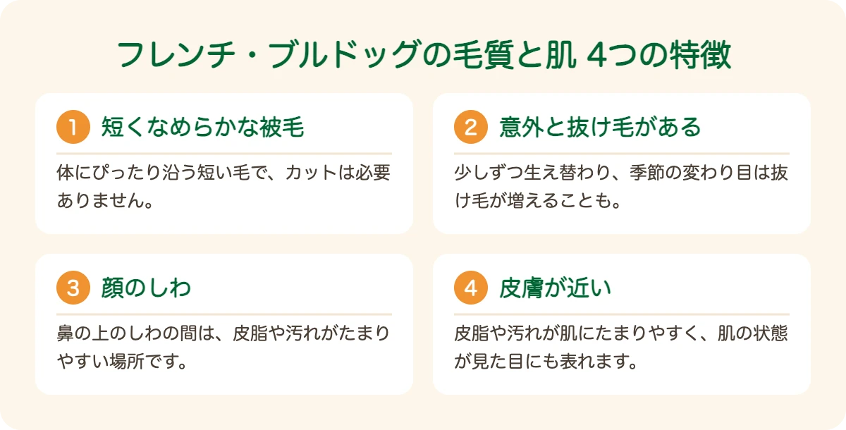 フレンチ・ブルドッグの毛質と肌の4つの特徴