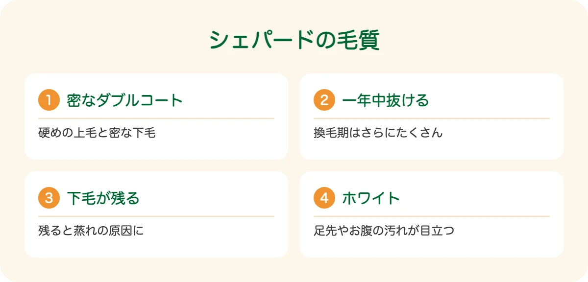 シェパードの毛質