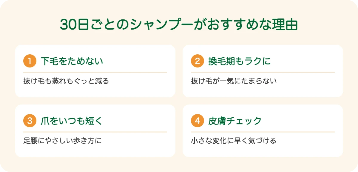 ジャーマン・シェパード・ドッグの30日ごとのシャンプーがおすすめな理由
