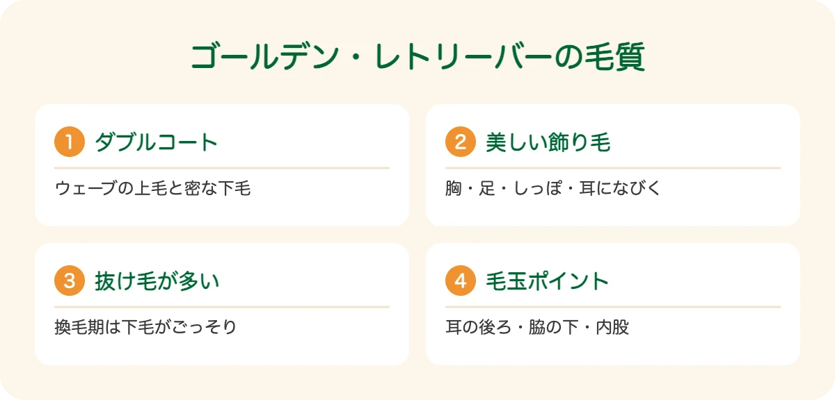 ゴールデン・レトリーバーの毛質