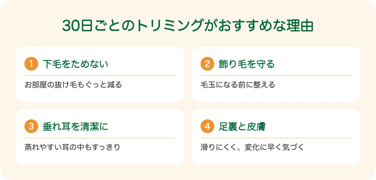 ゴールデン・レトリーバーの30日ごとのトリミングがおすすめな理由