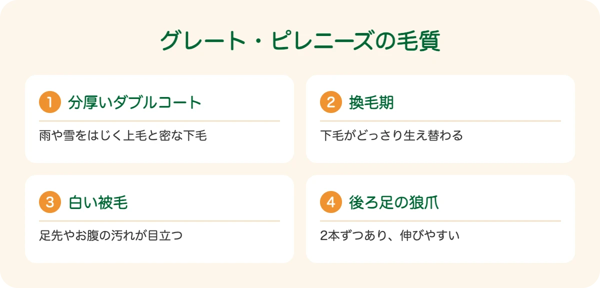 グレート・ピレニーズの毛質