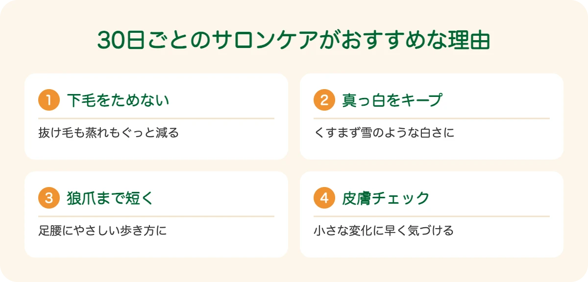 グレート・ピレニーズの30日ごとのサロンケアがおすすめな理由