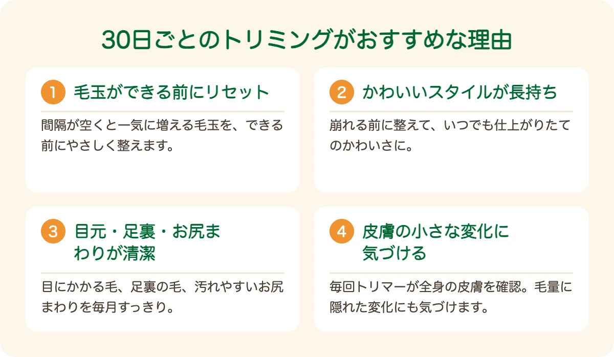ハバニーズのトリミングを30日ごとにおすすめする理由
