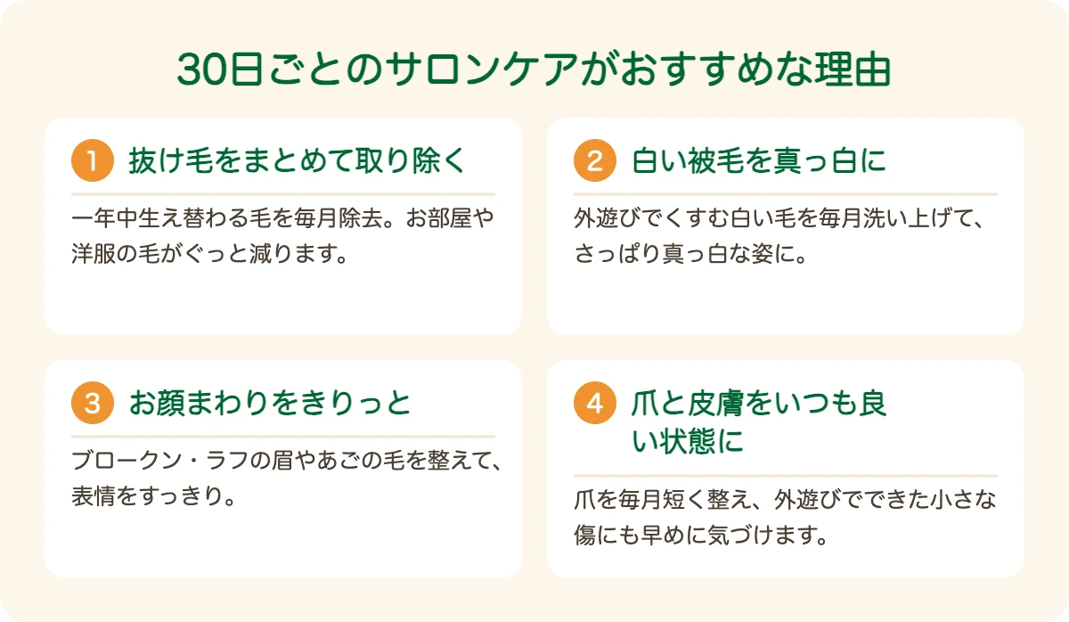 ジャック・ラッセル・テリアのトリミングを30日ごとにおすすめする理由