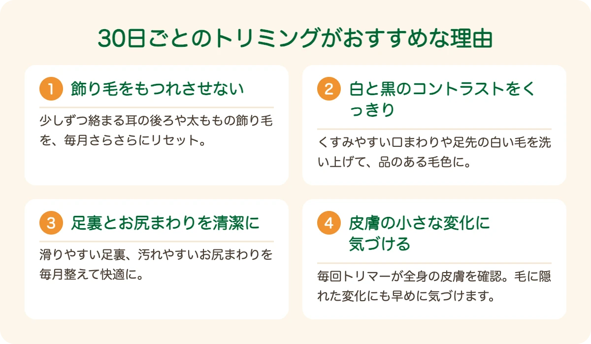 狆（チン）のトリミングを30日ごとにおすすめする理由