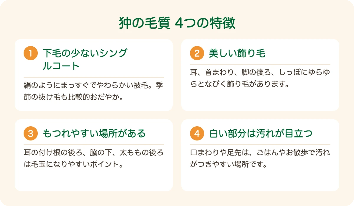 狆（チン）の毛質の4つの特徴