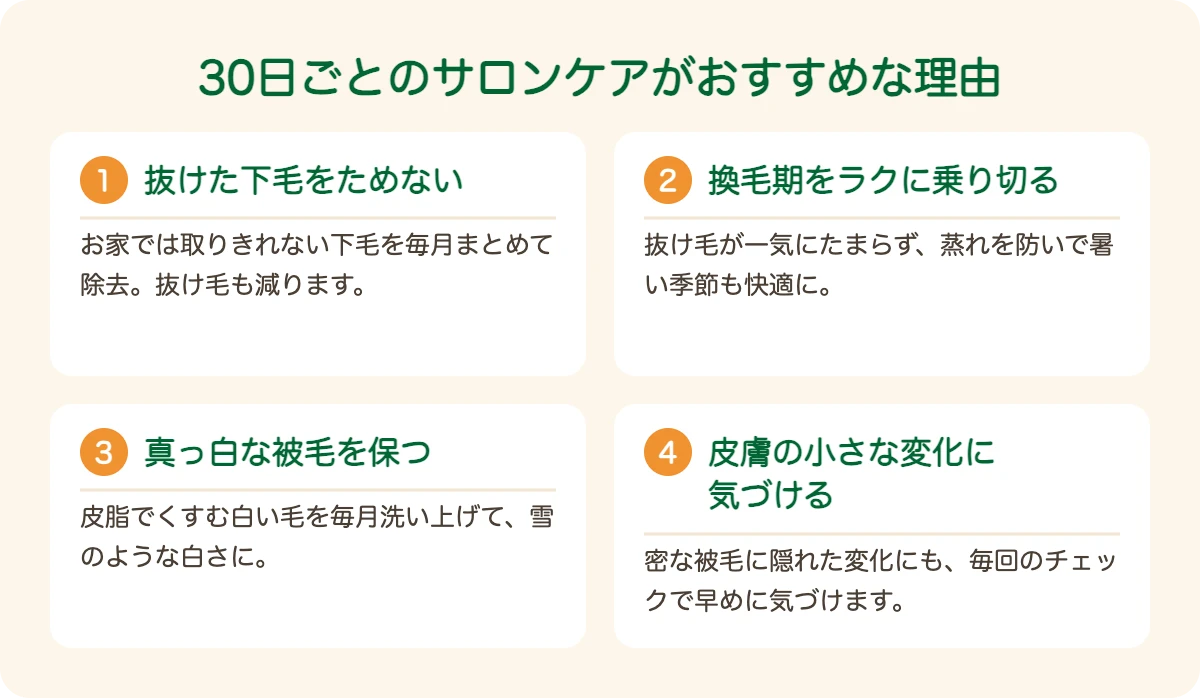 日本スピッツのトリミングを30日ごとにおすすめする理由
