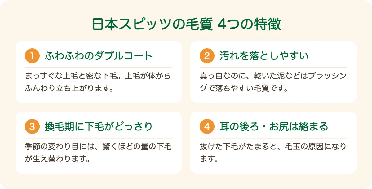 日本スピッツの毛質の4つの特徴