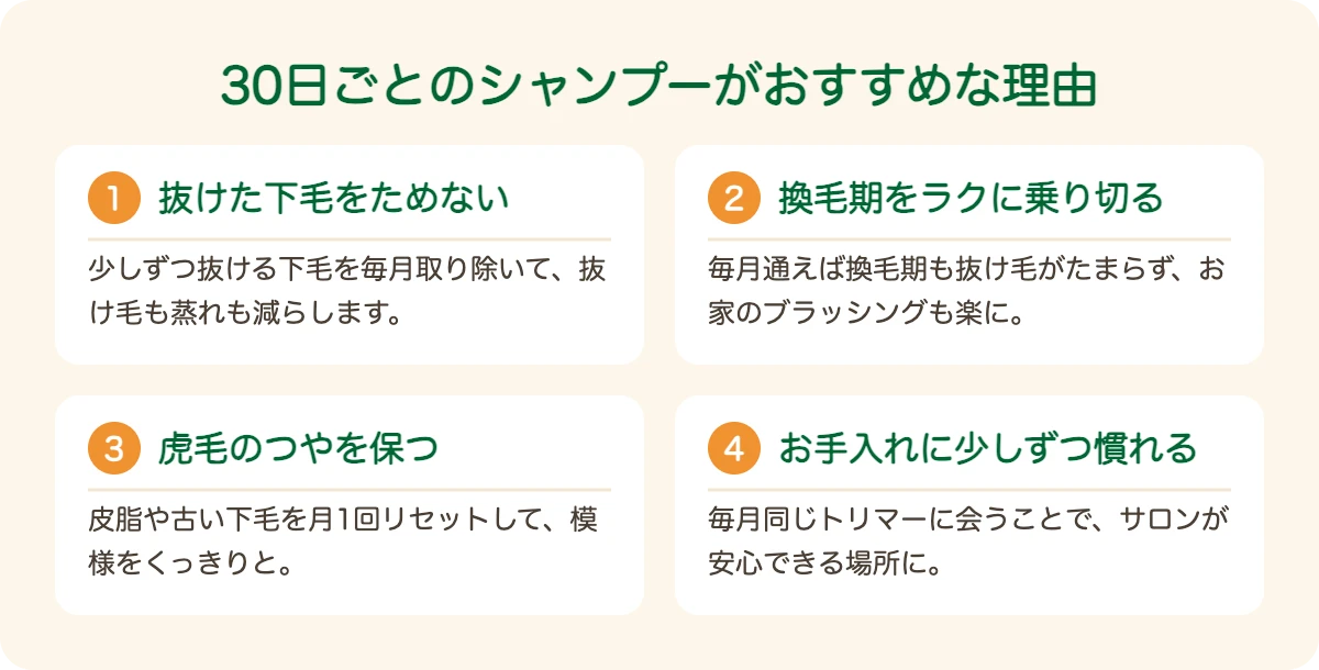 甲斐犬のトリミングを30日ごとにおすすめする理由