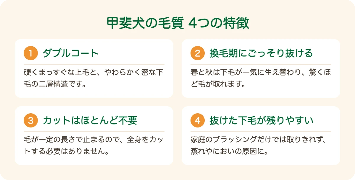 甲斐犬の毛質の4つの特徴