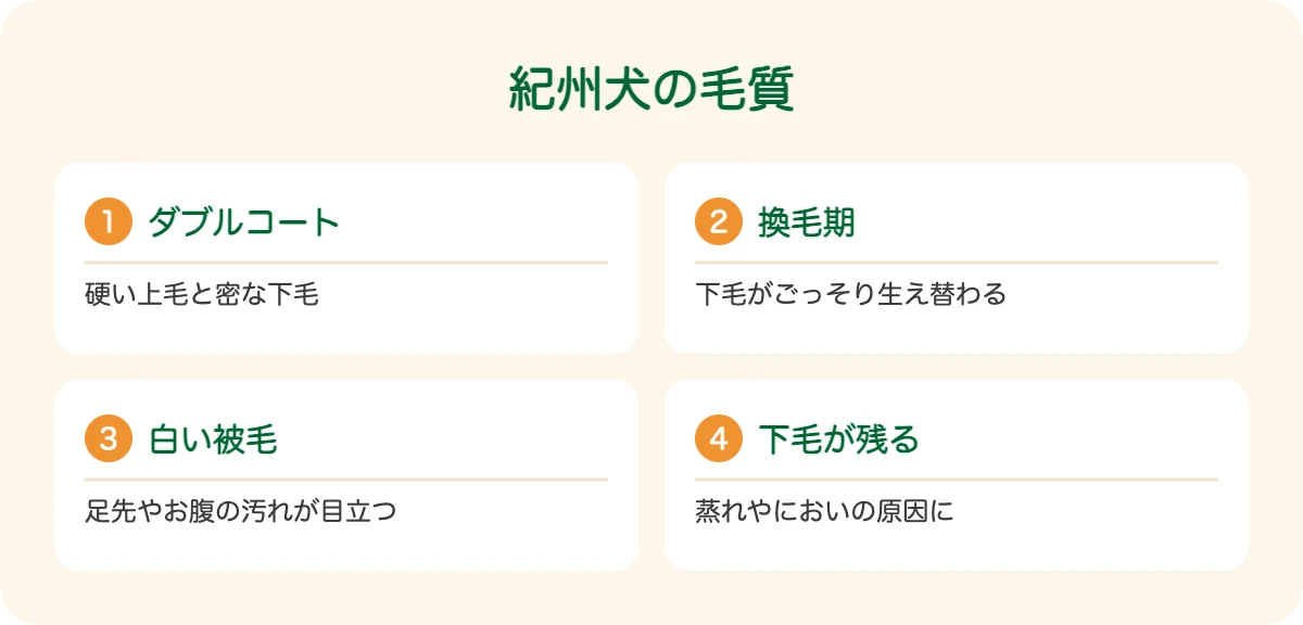紀州犬の毛質