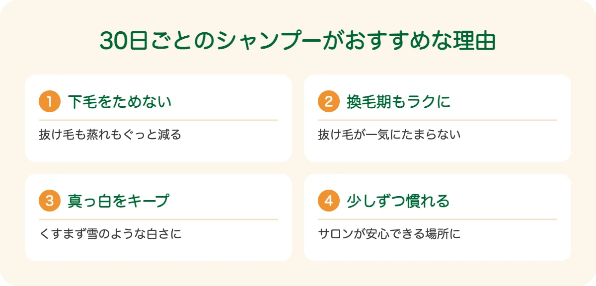 紀州犬の30日ごとのシャンプーがおすすめな理由