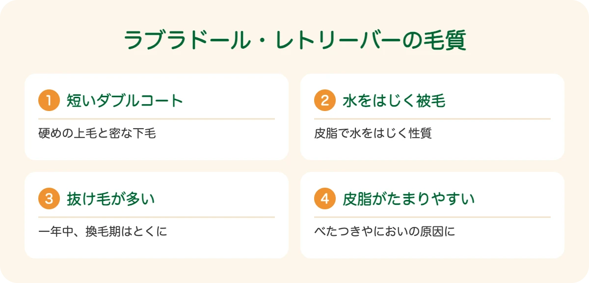 ラブラドール・レトリーバーの毛質
