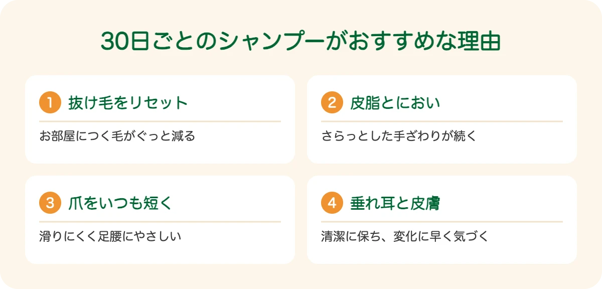ラブラドール・レトリーバーの30日ごとのシャンプーがおすすめな理由