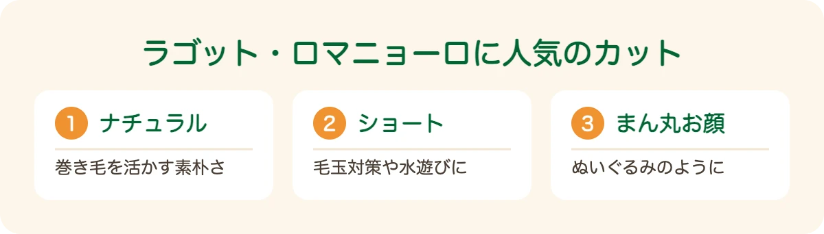 ラゴット・ロマニョーロの図解