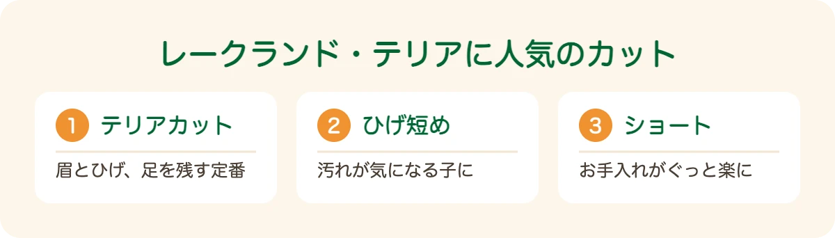 レークランドテリアの図解