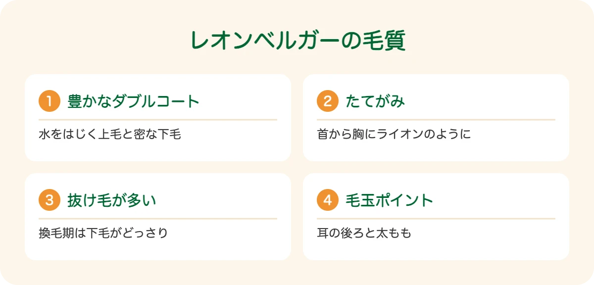 レオンベルガーの毛質
