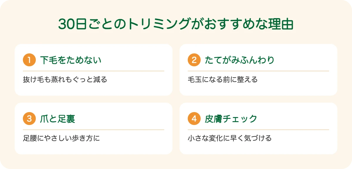 レオンベルガーの30日ごとのトリミングがおすすめな理由