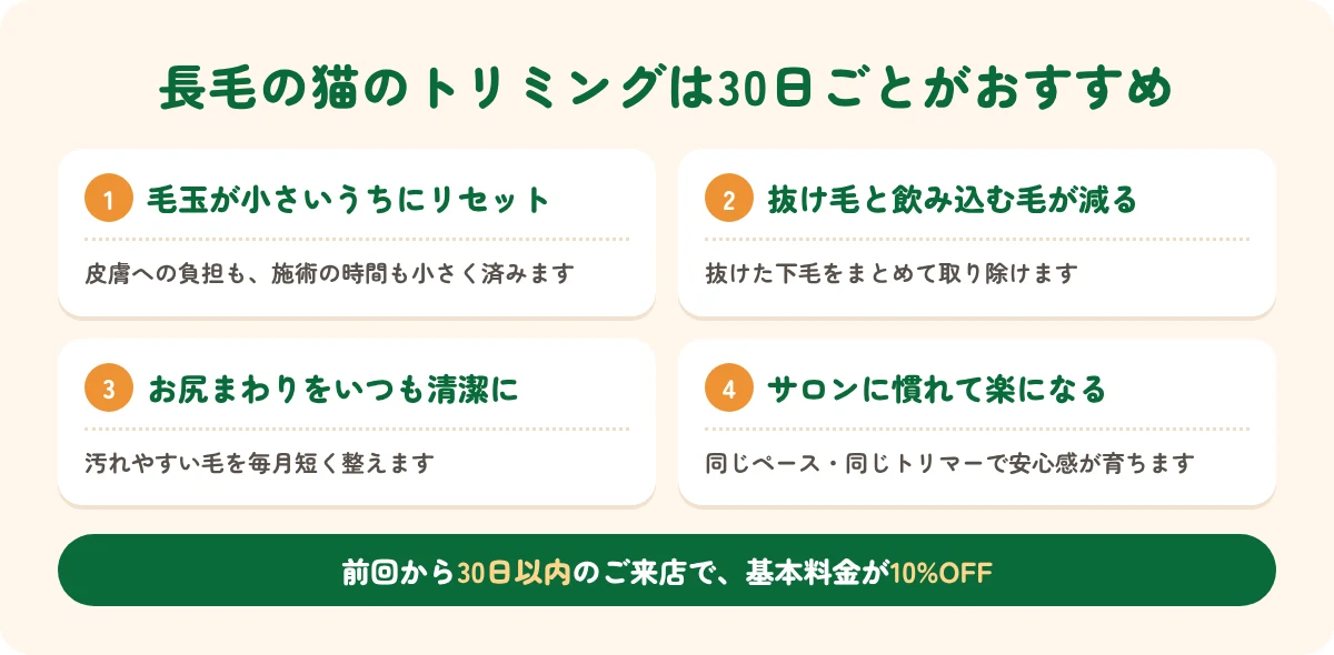 長毛の猫のトリミングを30日ごとにおすすめする理由