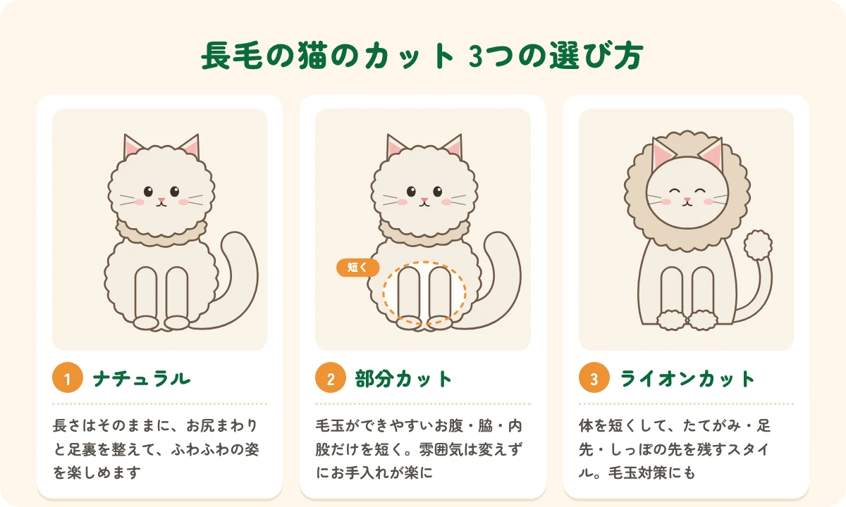 長毛の猫のカット3つの選び方(ナチュラル・部分カット・ライオンカット)