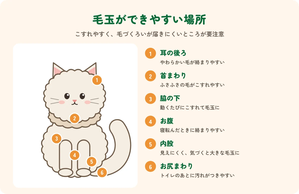 長毛の猫の毛玉ができやすい場所の図解(耳の後ろ・首まわり・脇の下・お腹・内股・お尻まわり)