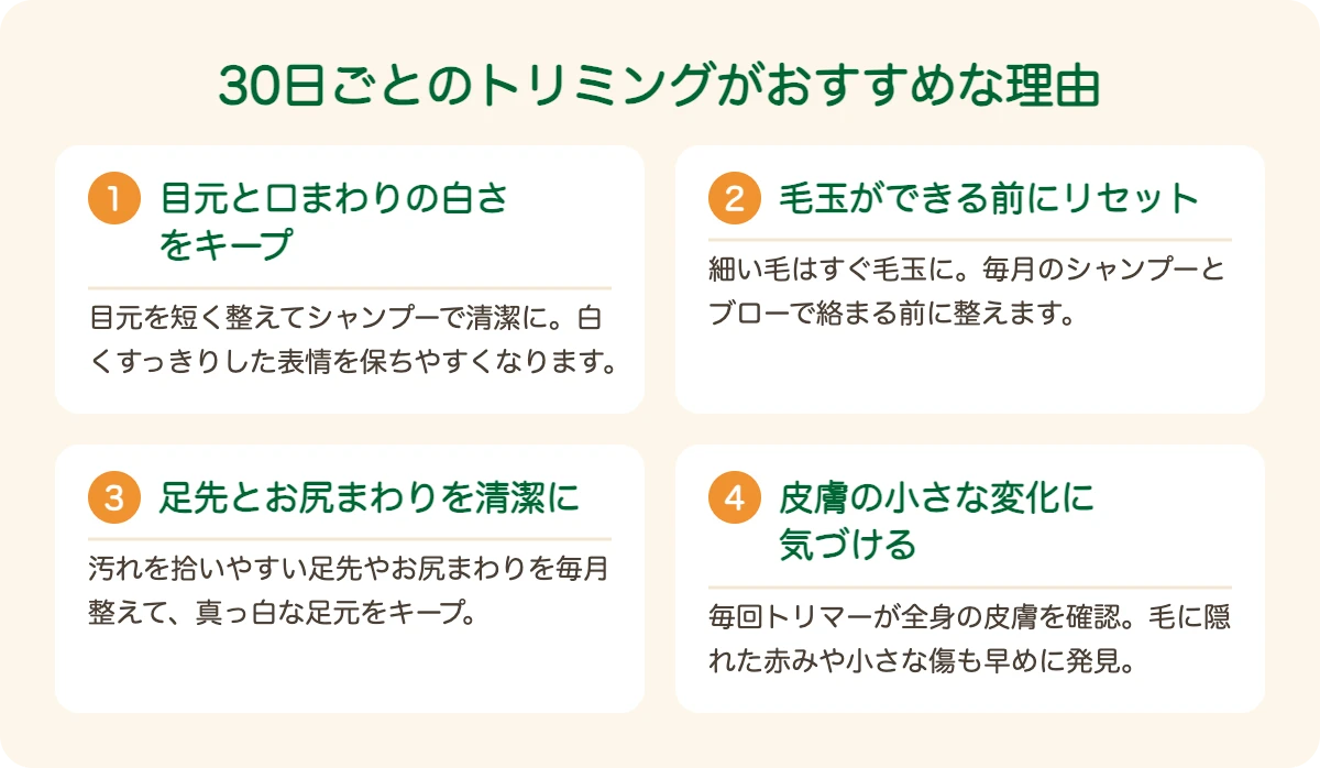 マルチーズのトリミングを30日ごとにおすすめする理由