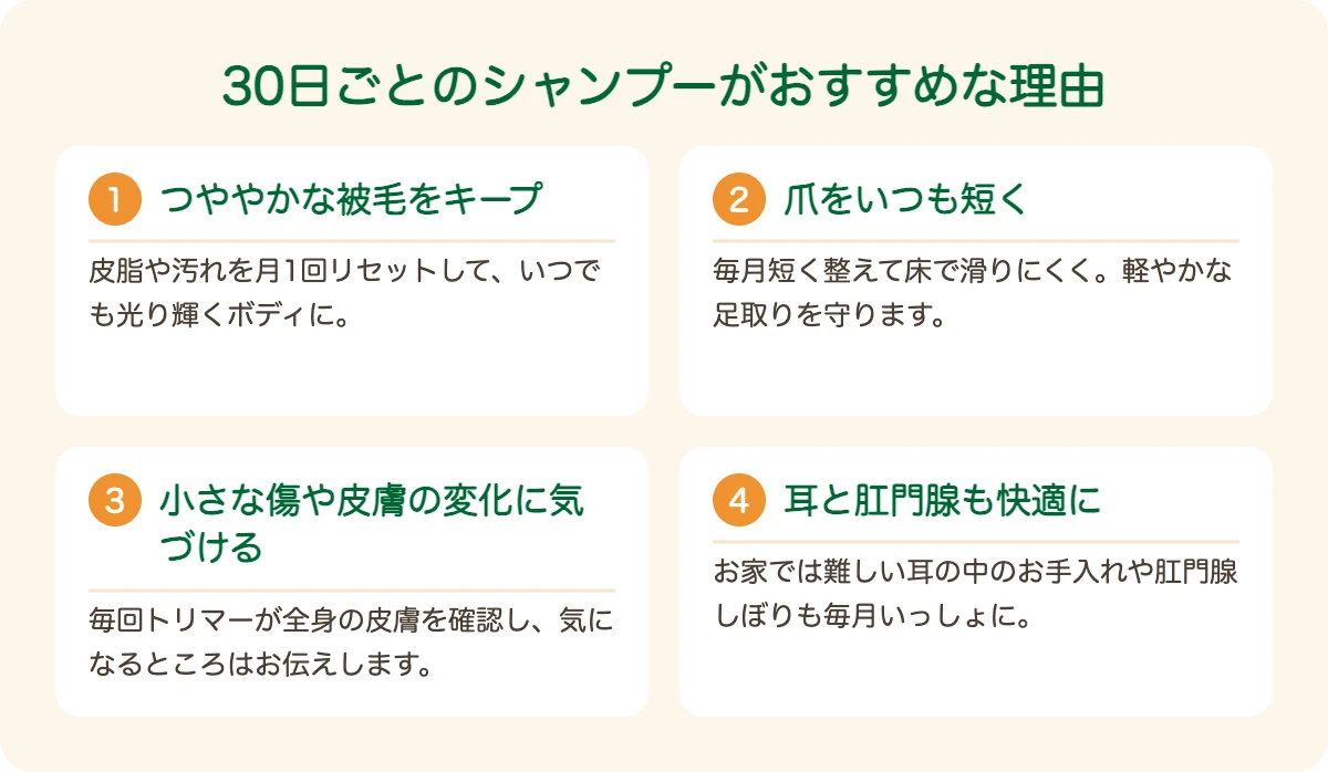 ミニチュア・ピンシャーのトリミングを30日ごとにおすすめする理由