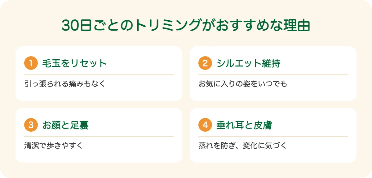 ミニチュア・プードルの30日ごとのトリミングがおすすめな理由