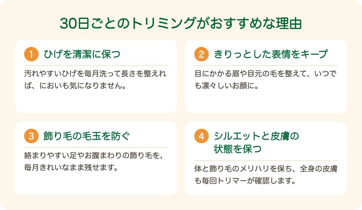 ミニチュア・シュナウザーのトリミングを30日ごとにおすすめする理由