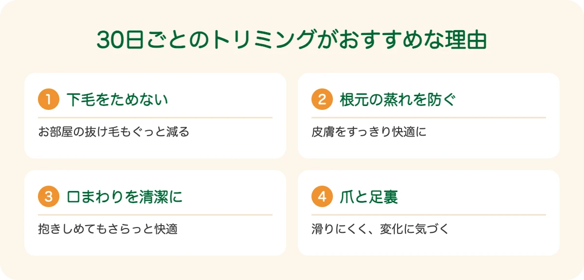 ニューファンドランドの30日ごとのトリミングがおすすめな理由
