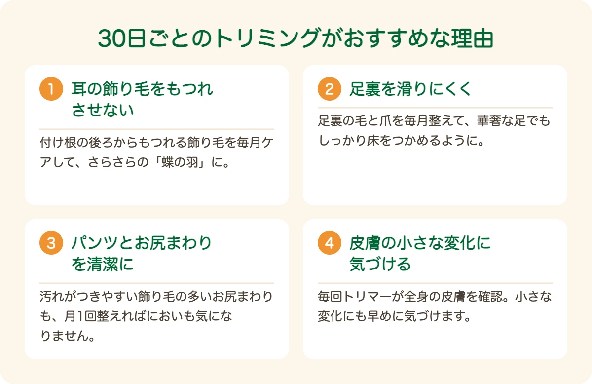 パピヨンのトリミングを30日ごとにおすすめする理由