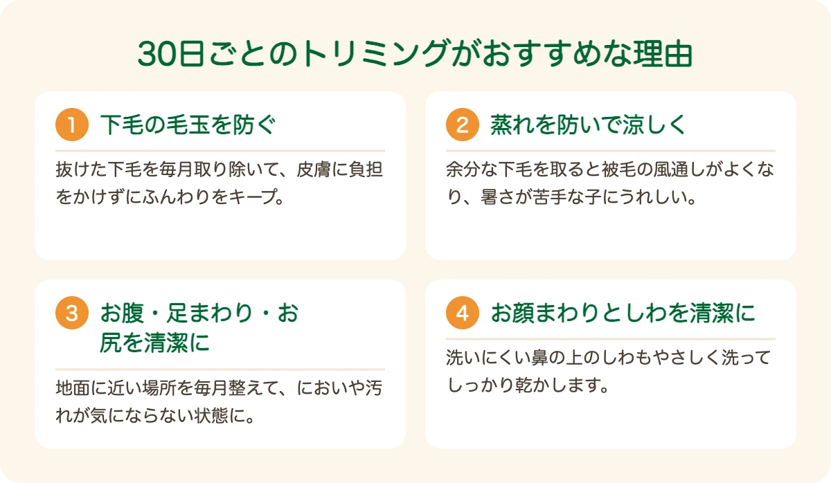 ペキニーズのトリミングを30日ごとにおすすめする理由