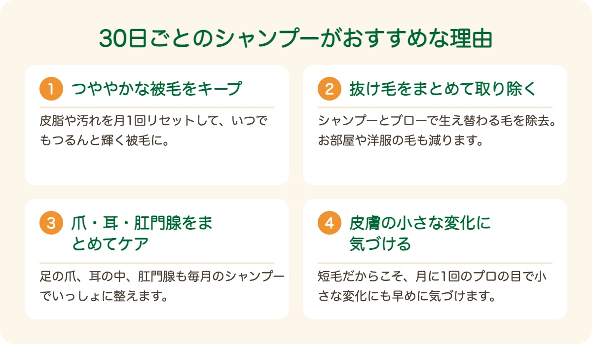 プチ・ブラバンソンのトリミングを30日ごとにおすすめする理由