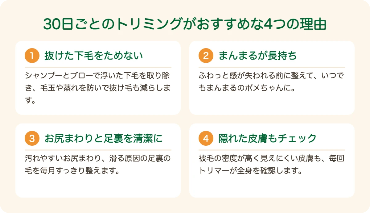 ポメラニアンのトリミングを30日ごとにおすすめする4つの理由
