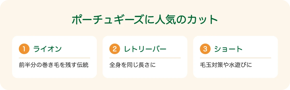 ポーチュギーズに人気のカット
