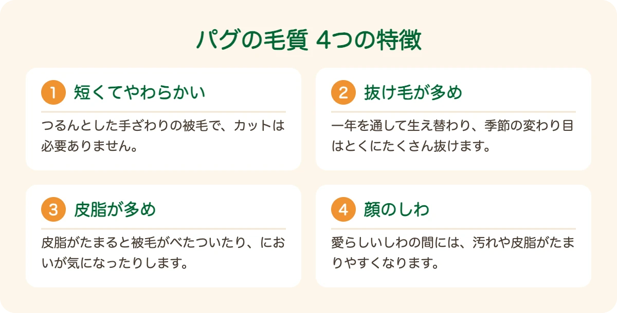 パグの毛質の4つの特徴