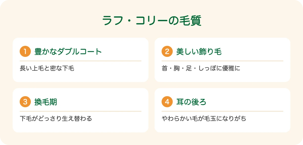 ラフ・コリーの毛質
