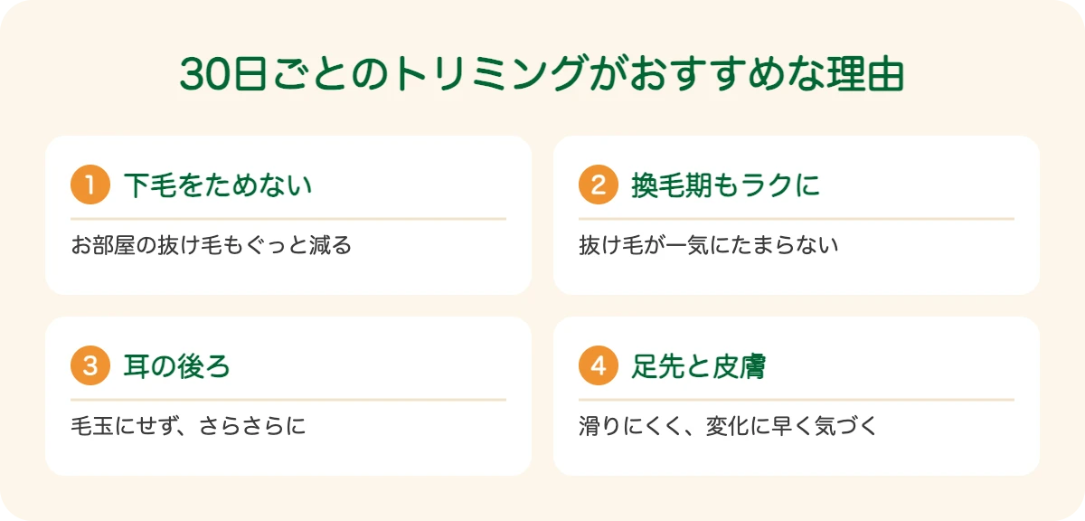ラフ・コリーの30日ごとのトリミングがおすすめな理由