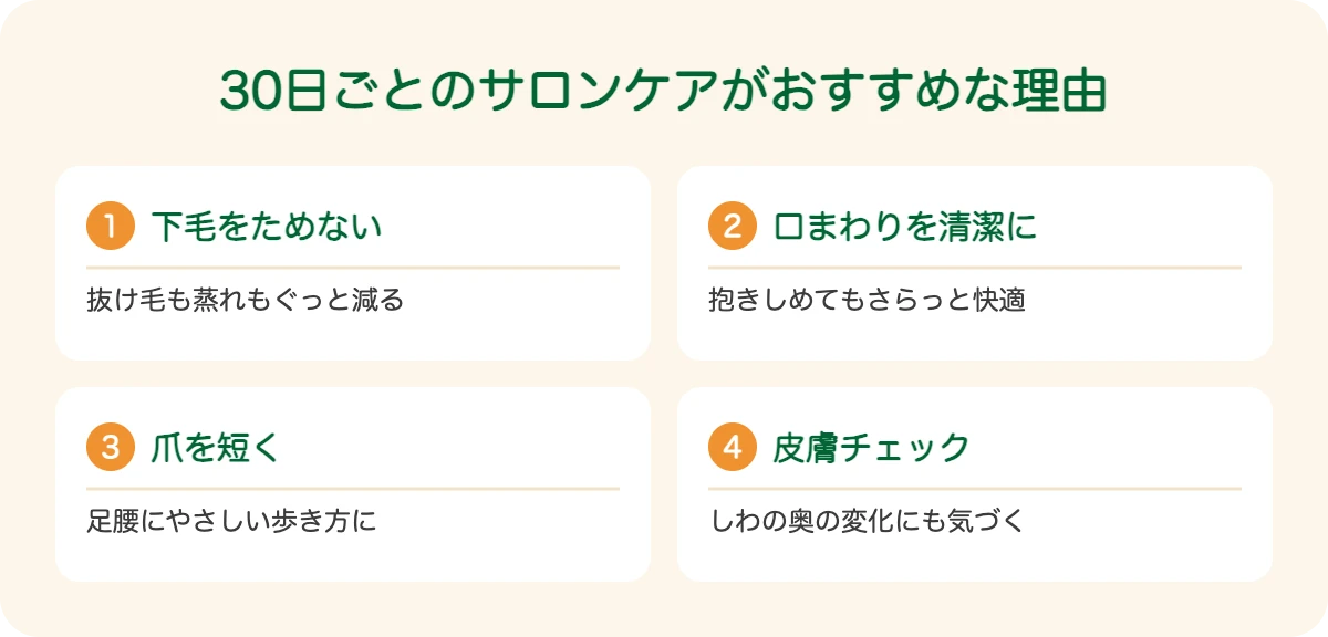 セントバーナードの30日ごとのサロンケアがおすすめな理由