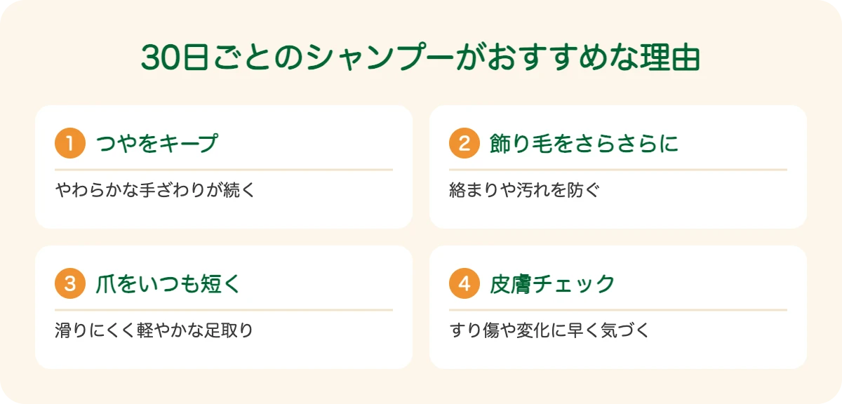サルーキの30日ごとのシャンプーがおすすめな理由